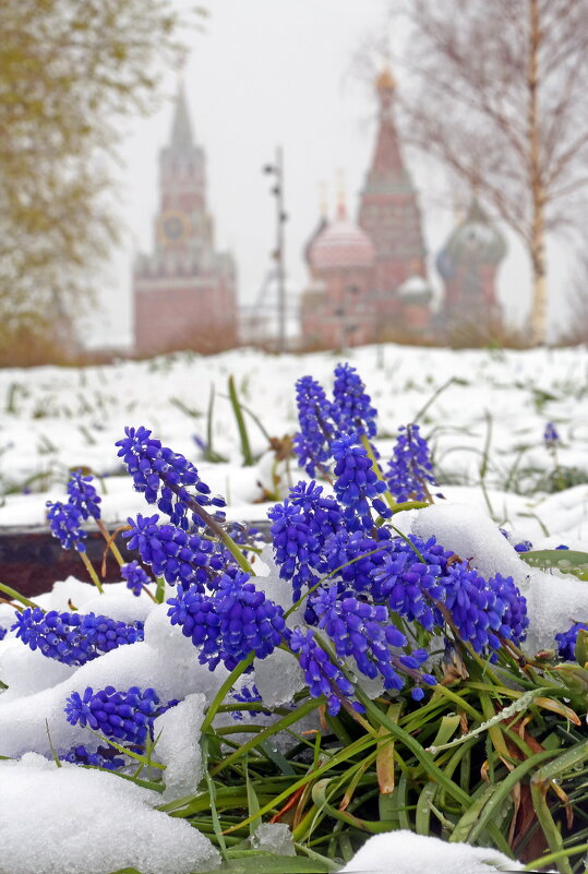 Снегопад 27 апреля - Михаил Бибичков