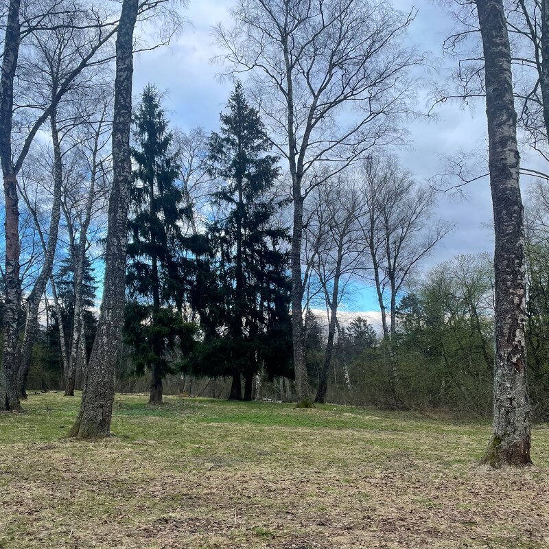 *** - Андрей Л. В.