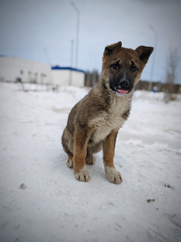 Уличный - Александр 