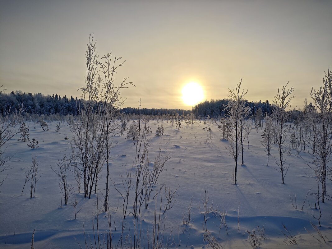 Зимний пейзаж - Александр 
