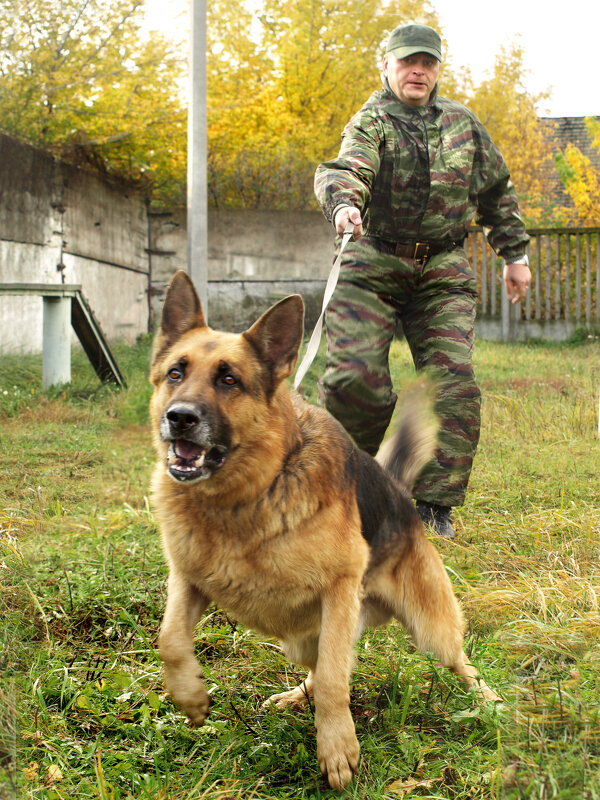 Задержание - СЮ 