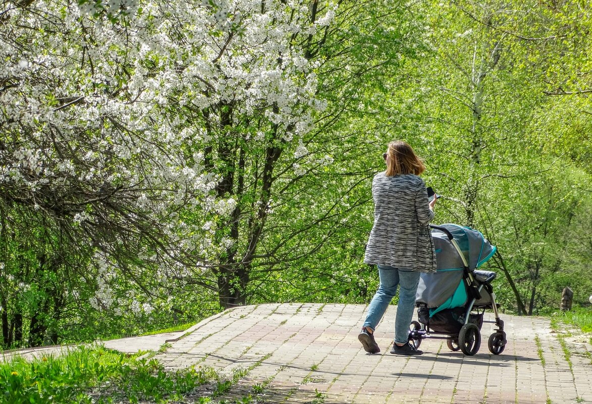 Яблони в цвету, весны творенье ... - Ravile 