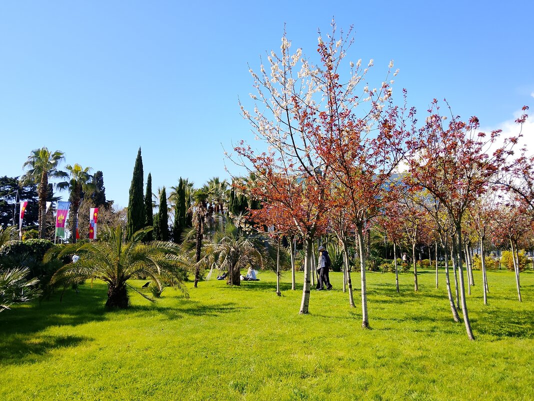 ПРОБУЖДЕНИЕ - Tata Wolf