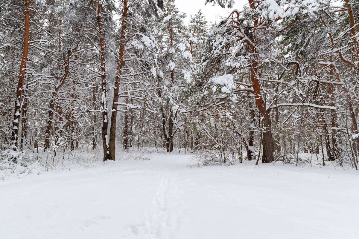 Снежный пейзаж весна - Александр Синдерёв