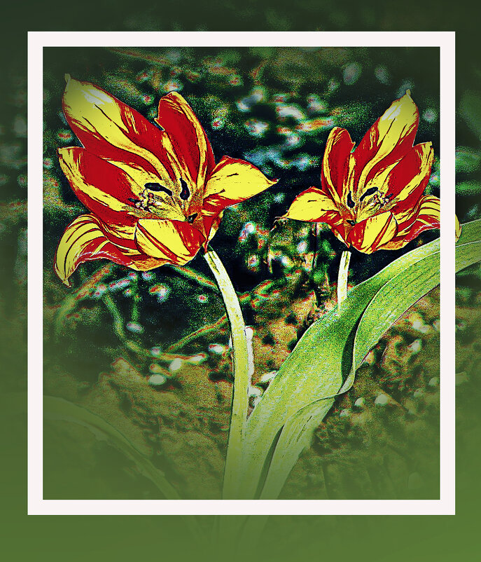 Дружная парочка - Владимир Кроливец