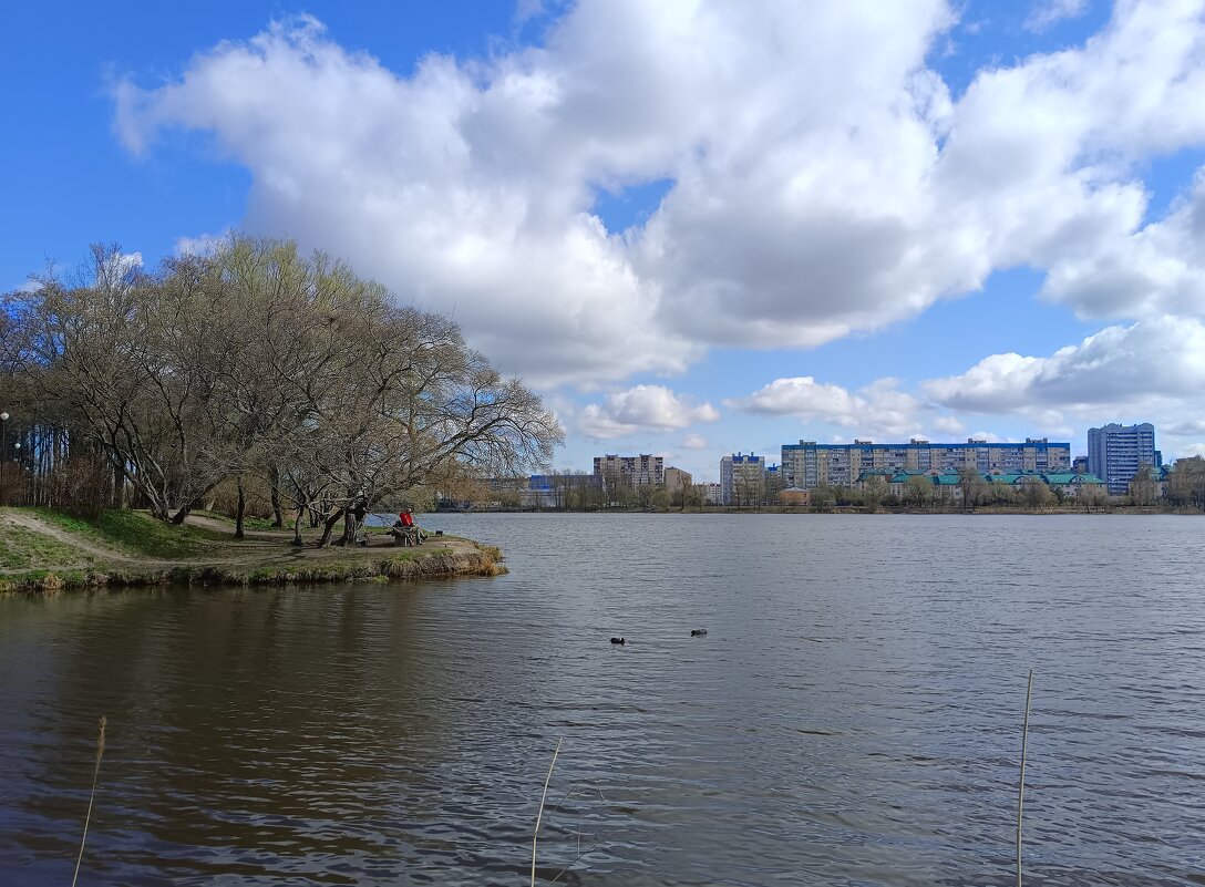 Белокрылые облака... - Мария Васильева