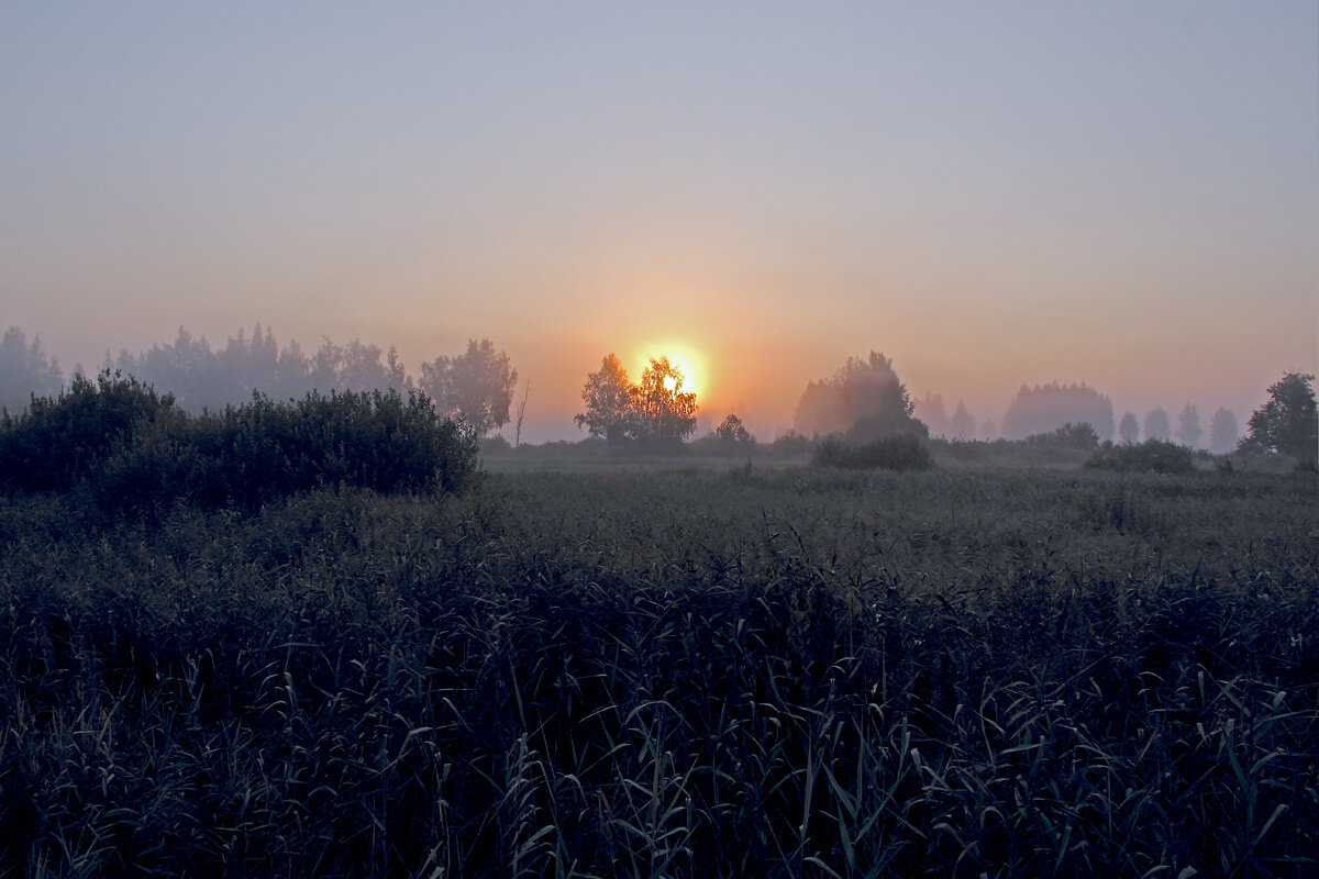 Рассвет над тамбовсками лугами - MILAV V