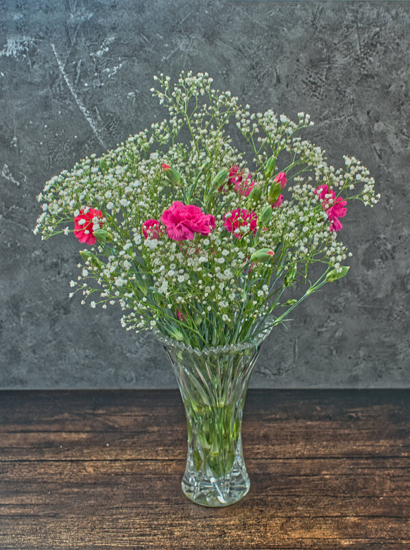 (°-°) - Jakob Dick