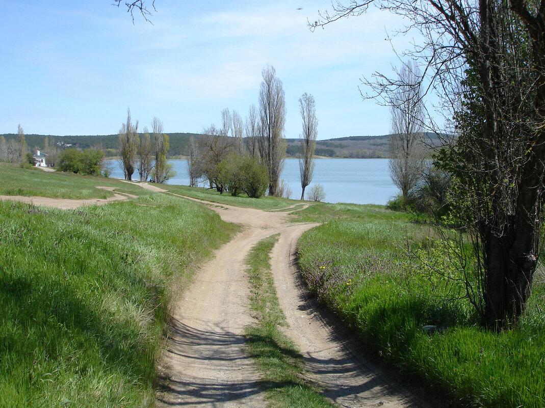 Весенний  пейзаж - Валентин Семчишин