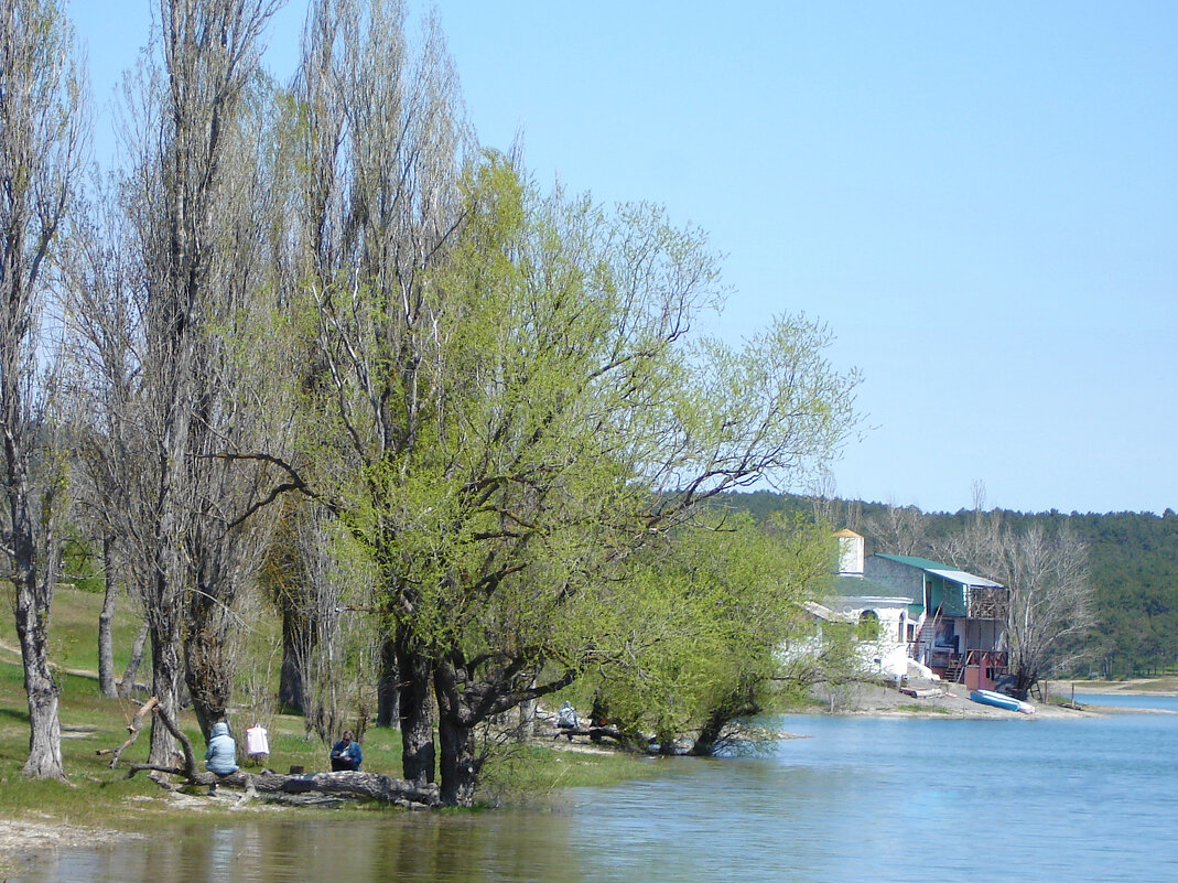 Весенний  пейзаж - Валентин Семчишин