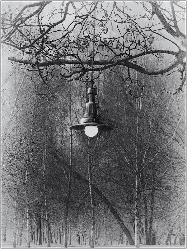 одинокий фонарь - Максим Сорокин