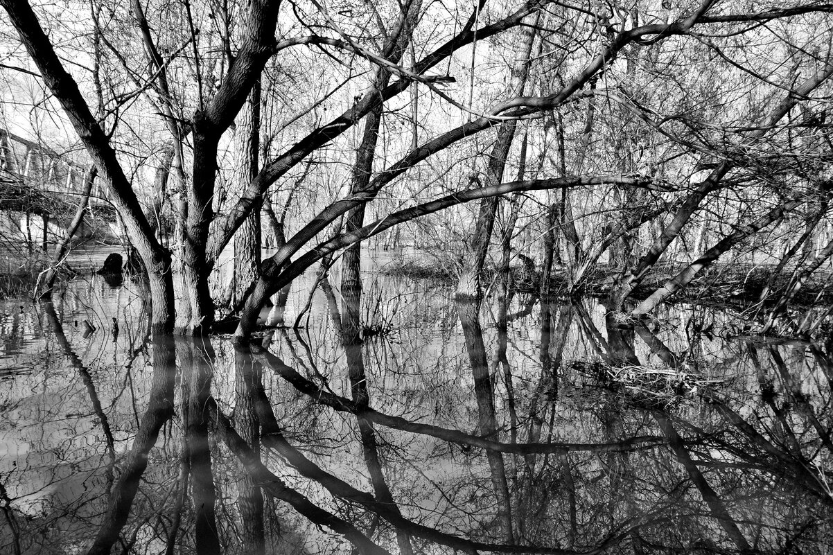 -- - Aндрей Антонов