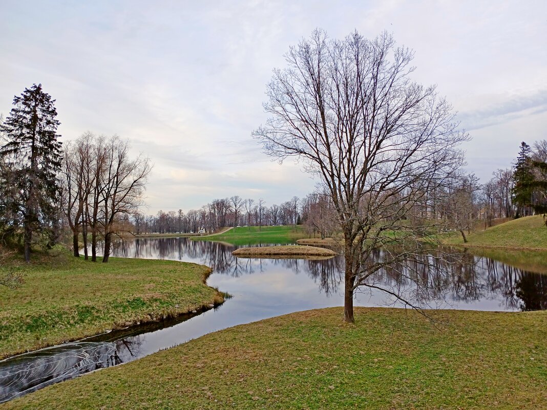 Нижний пруд, Ораниенбаум. - Лия ☼