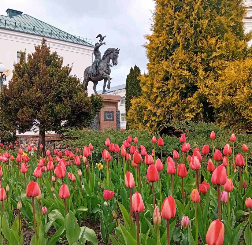 Пришло время тюльпанов - Галина Бобкина