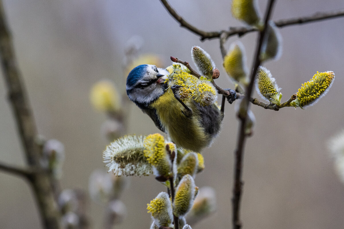 .... - Павел Катков