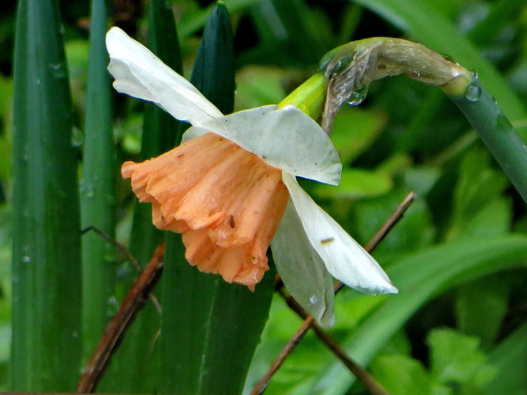 Выстоял! - Александр Чеботарь