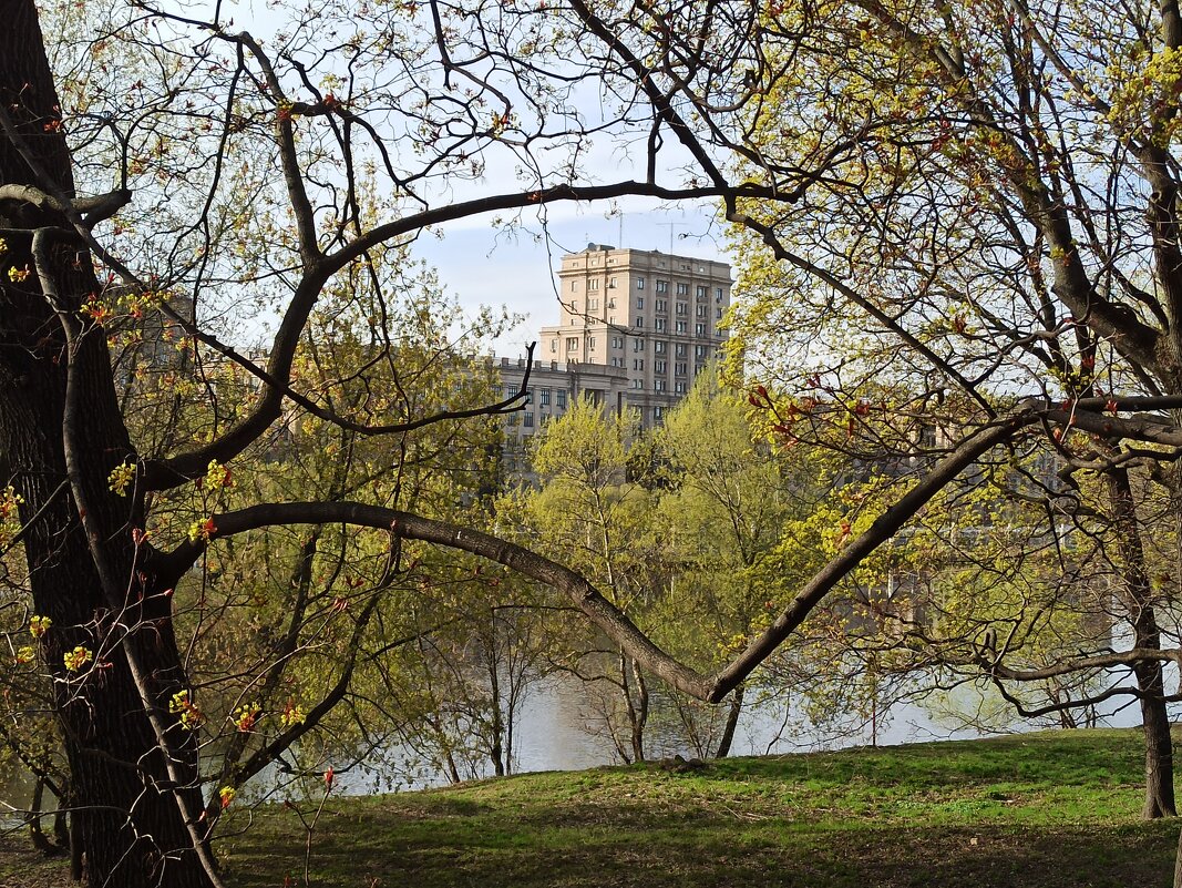 Приметы весны - Галина 