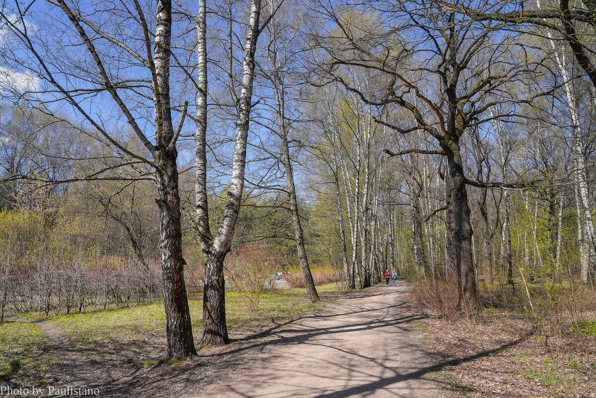 В весеннем парке... - Владимир Жданов