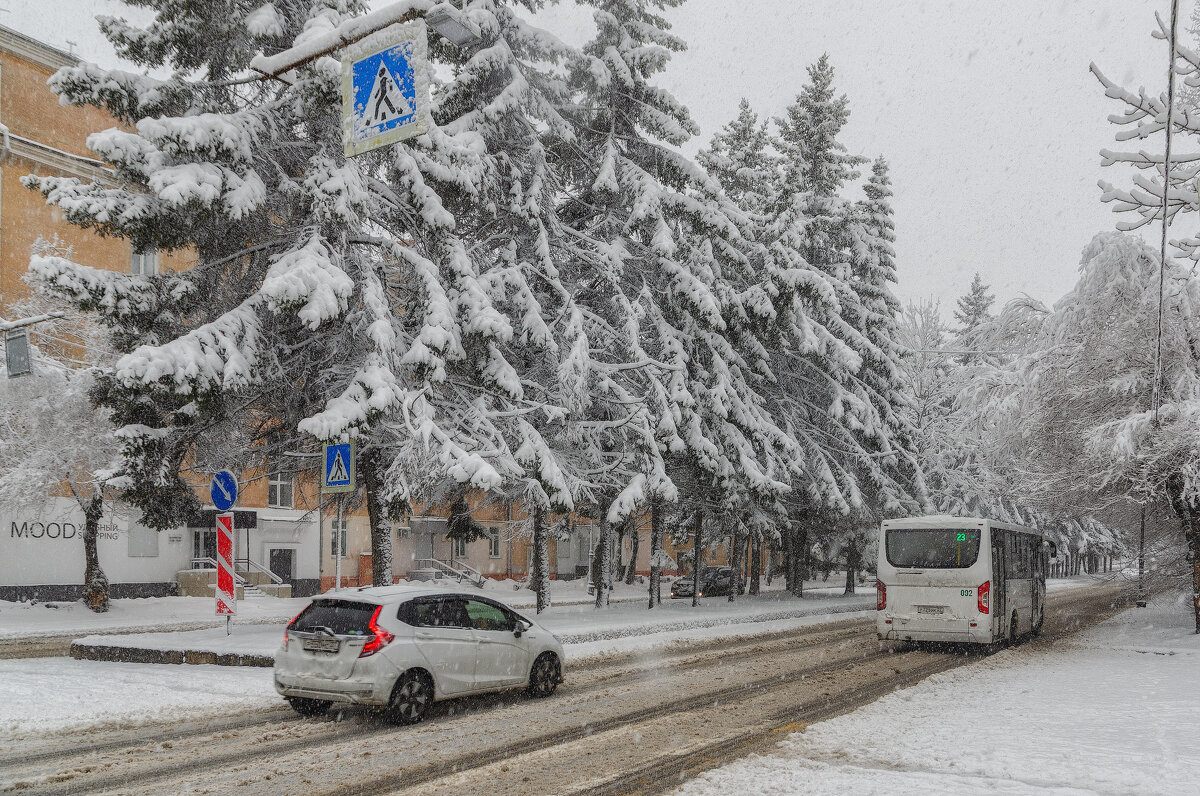 Апрель порадовал - Виктор Иванович Чернюк