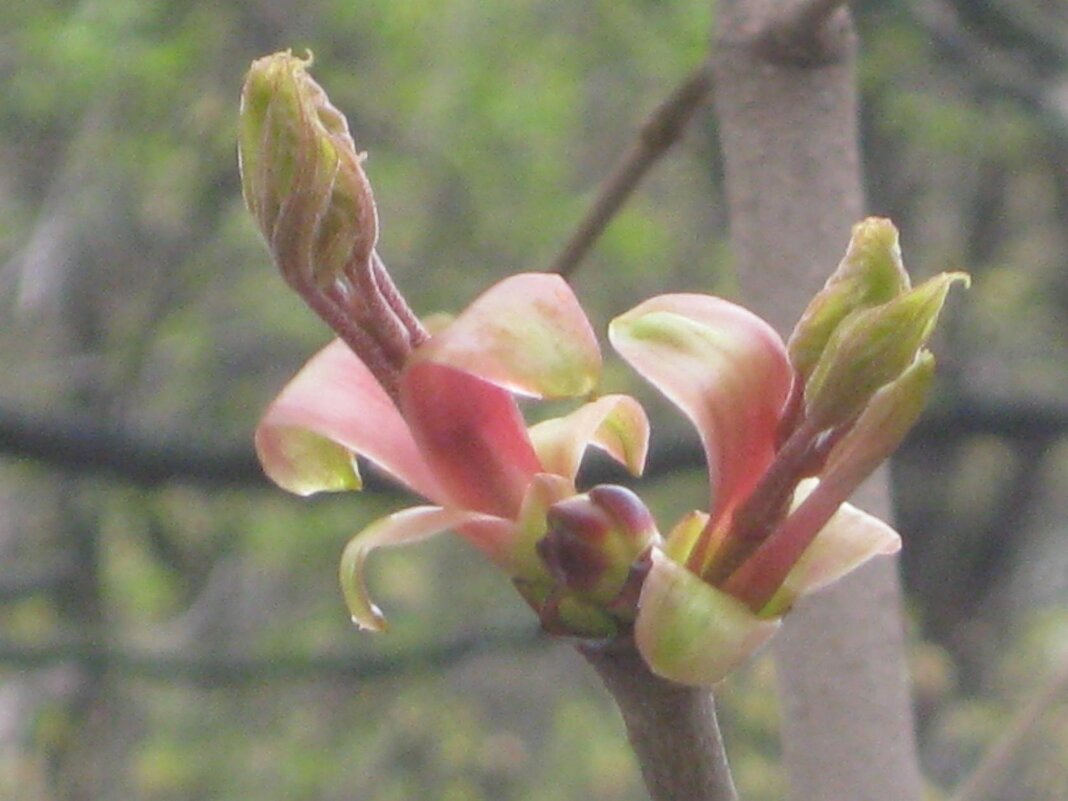 Пробуждение - Дмитрий Никитин