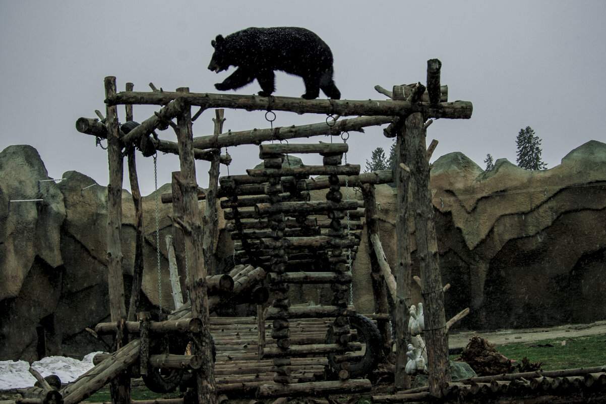 ВАХ-ВАх-ВАх, А Я иду шагаю ПО ----- - Владимир Максимов
