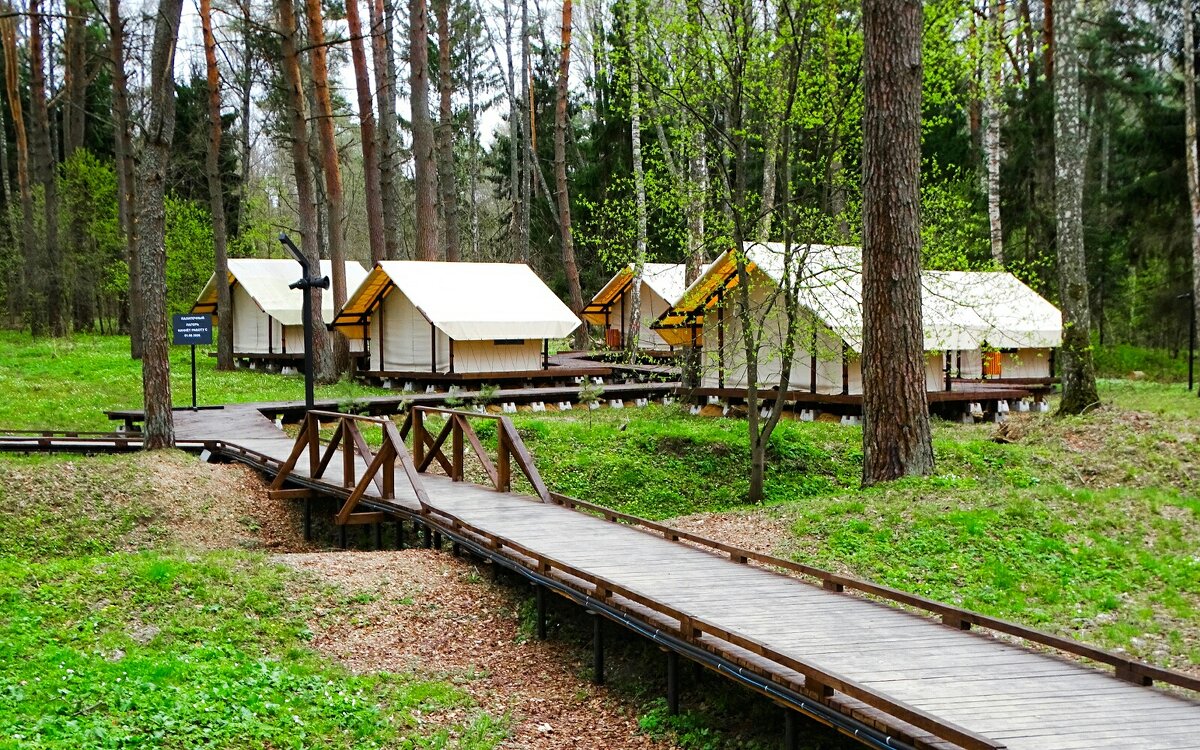 Подарочный городок. - Милешкин Владимир Алексеевич 