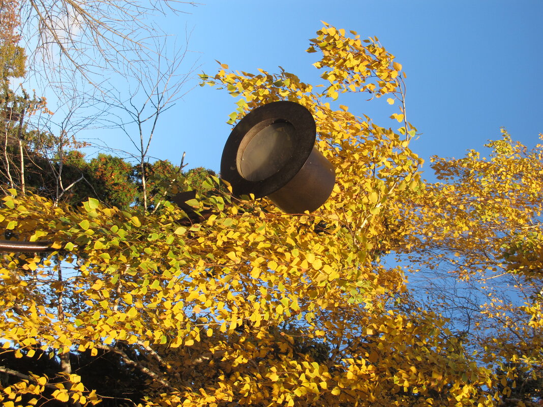 октябрь - Елена Шаламова