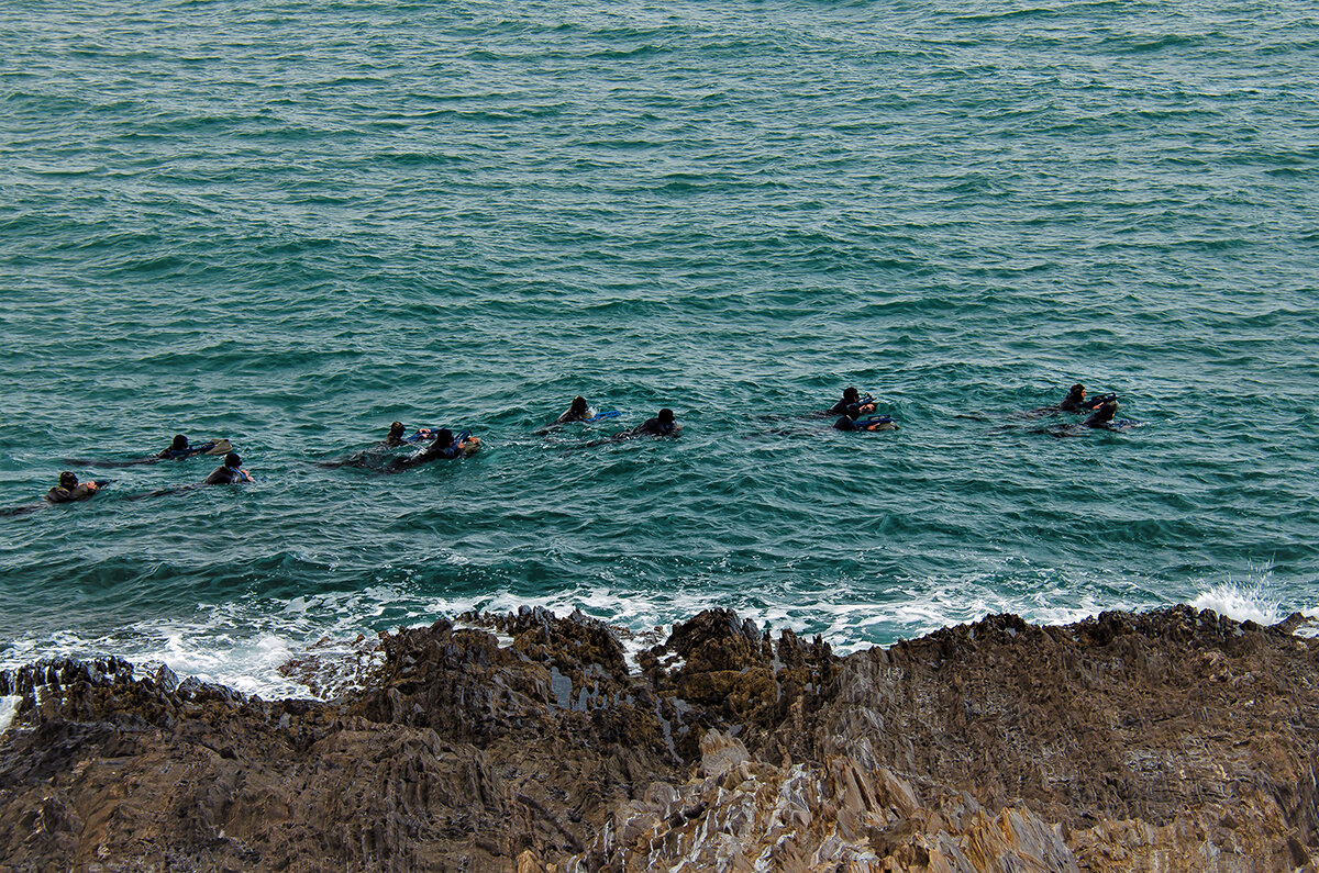 Тренировка военных морских котиков - Alexandеr P
