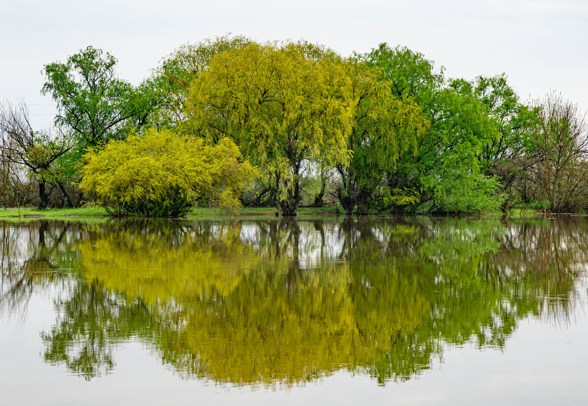 Весна на разливах. - Павел © Смирнов