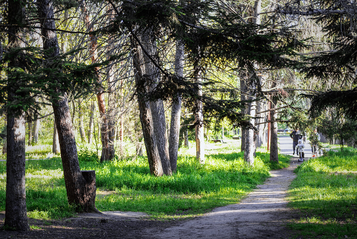 Прогулка по парку II - Игорь Протасов