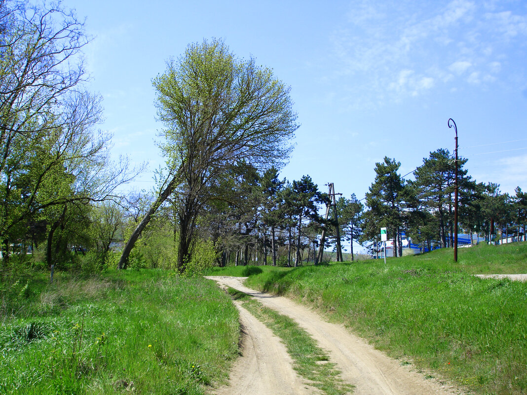 Весенний  пепейзаж - Валентин Семчишин
