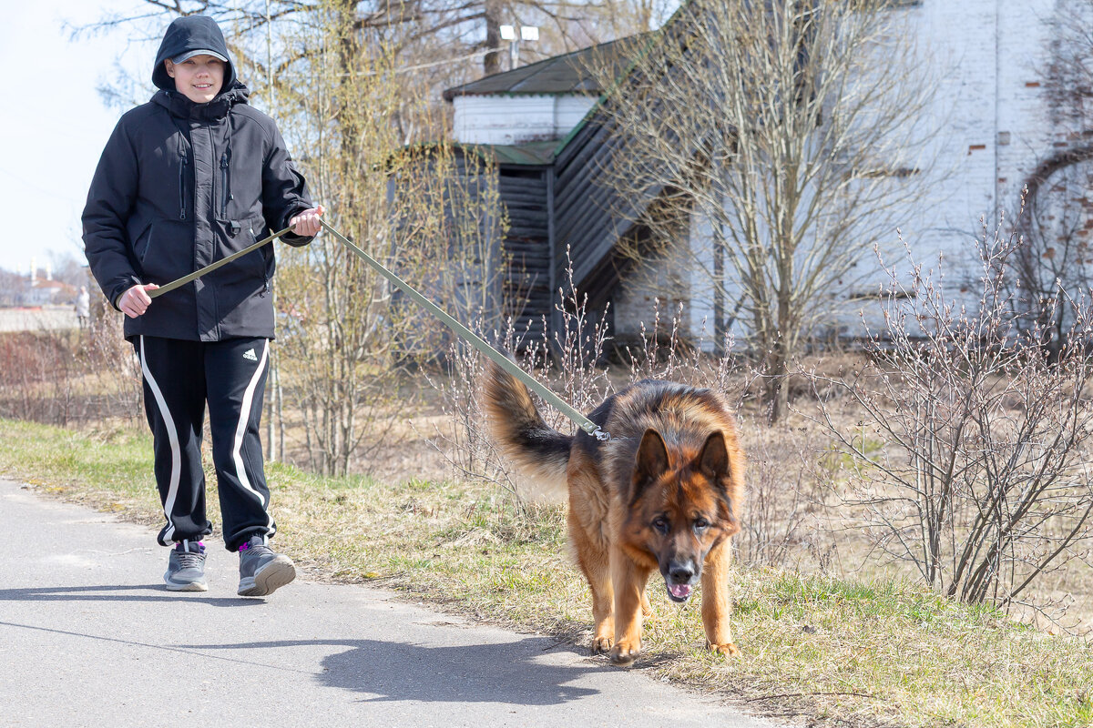 Мальчик с собачкой. - Андрей Дурапов