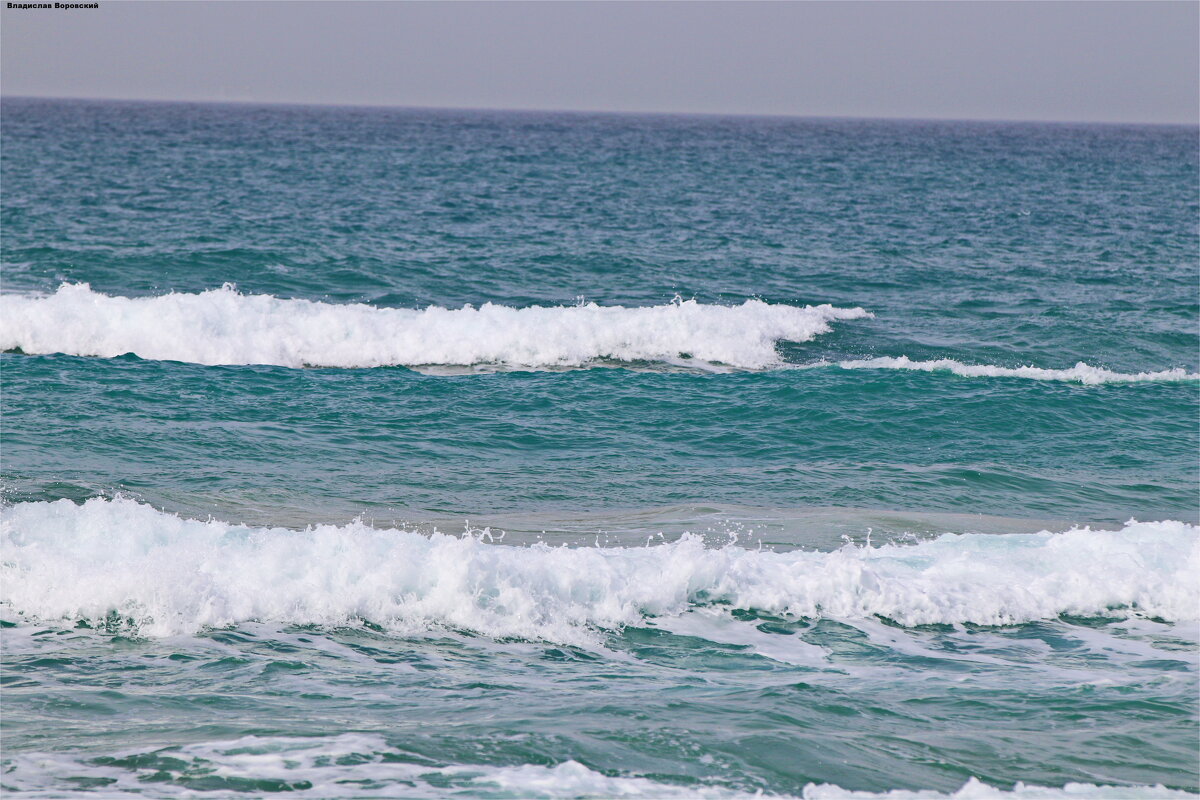 События  Репортаж 2026 - Владислав Воровский 