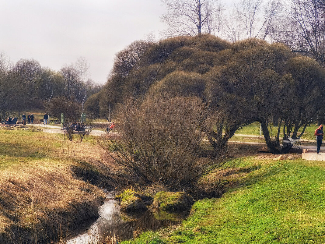 Парковый пейзаж. - Лилия *