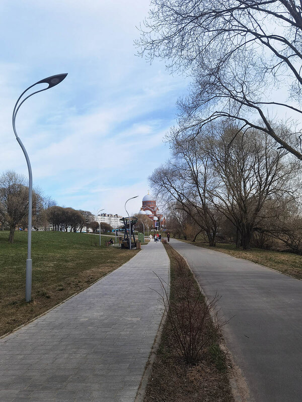 Муринский парк. - Лилия *