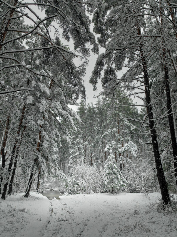 Картина "Не проехать" - sorovey Sol