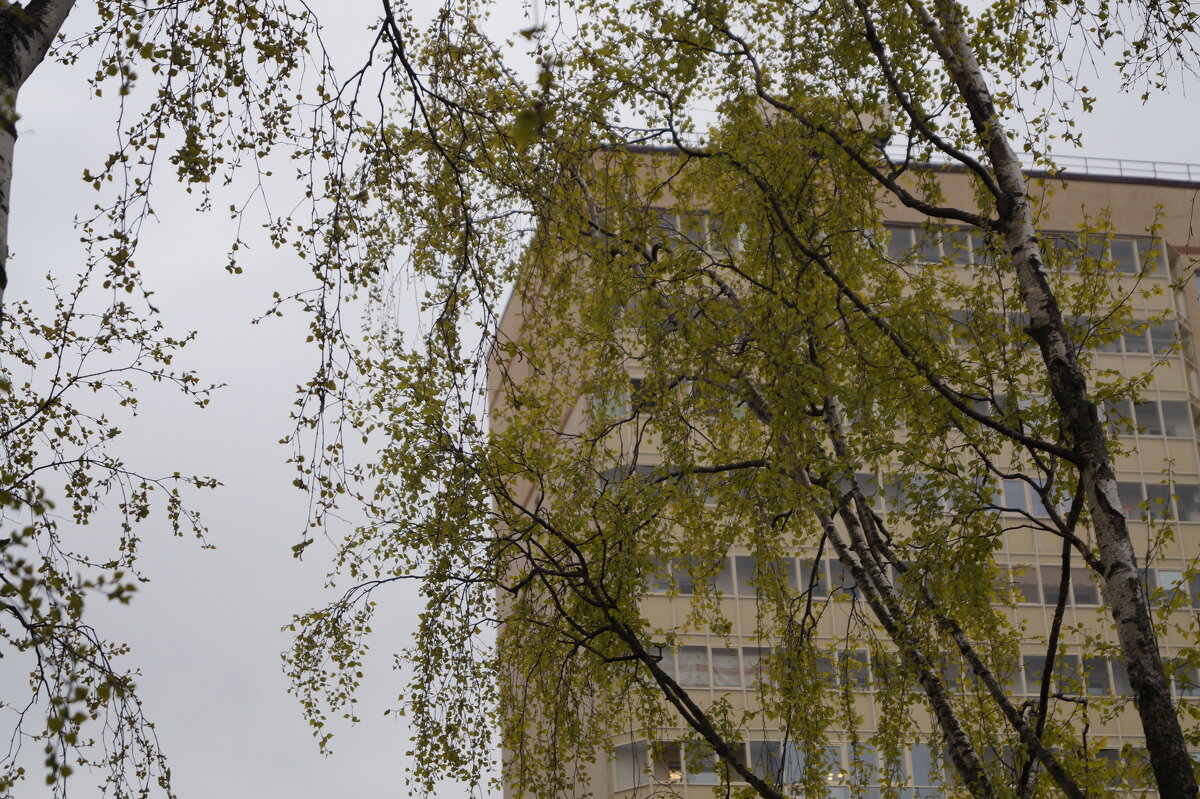 Трава зеленеет, листья распускаются - Anna-Sabina Anna-Sabina