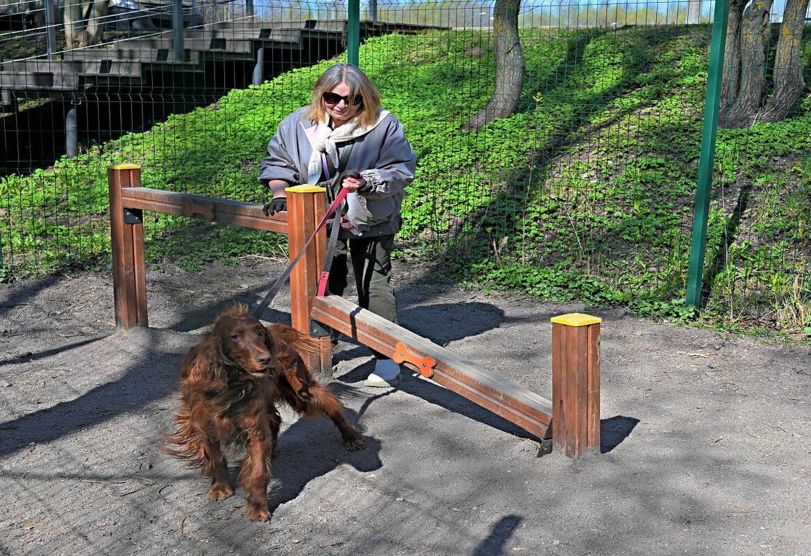 Можно и в фас - Юрий Велицкий