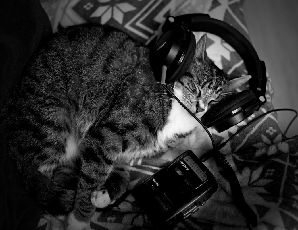 Меломан Василий - Виктор Савельев