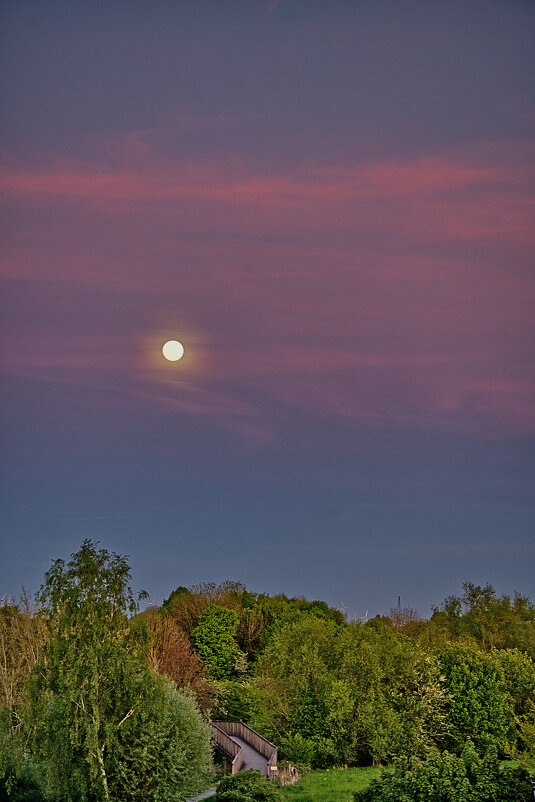 (°-°) - Jakob Dick