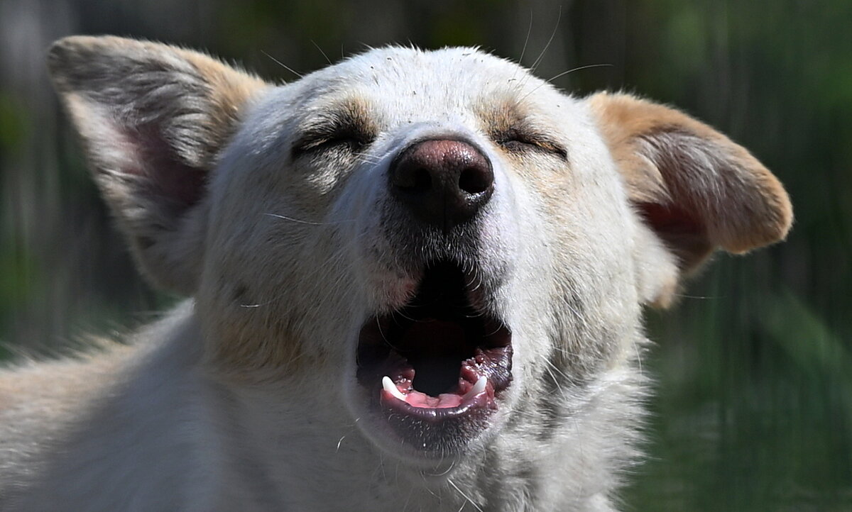 эти глаза напортив... - Aleksandr .