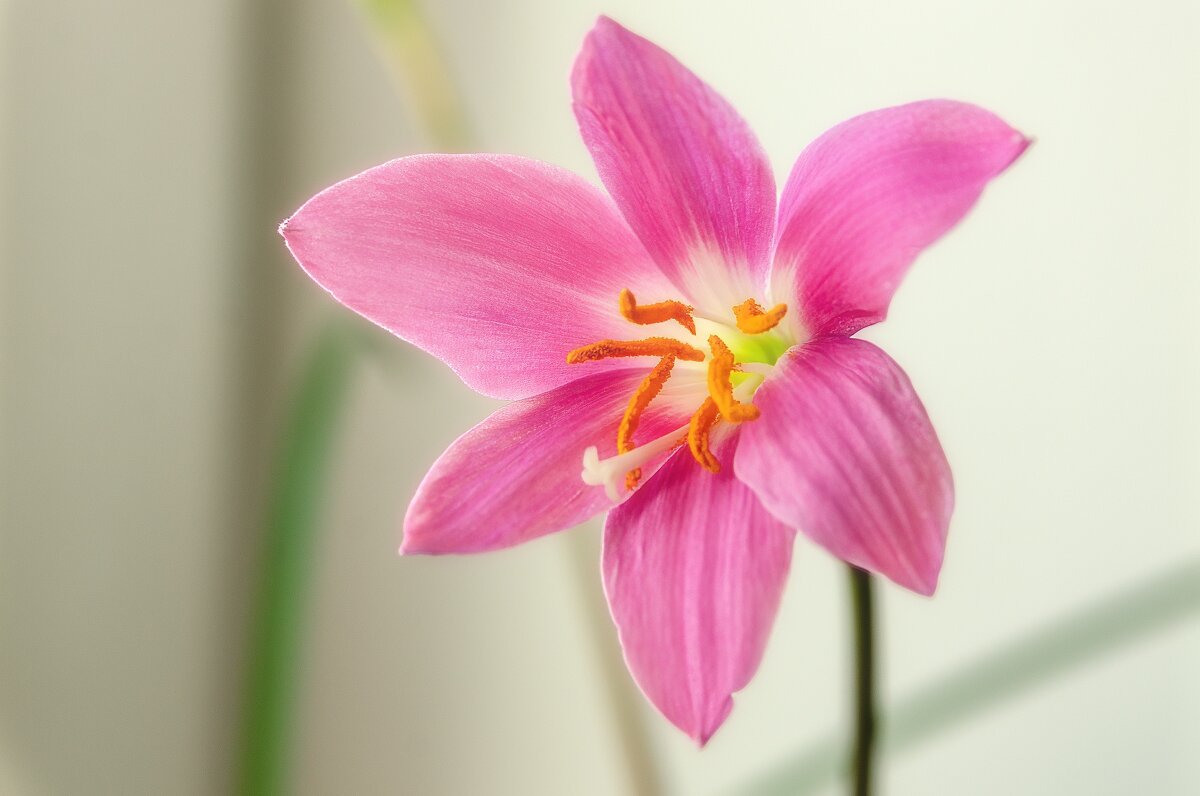 *** - Виктор Иванович Чернюк