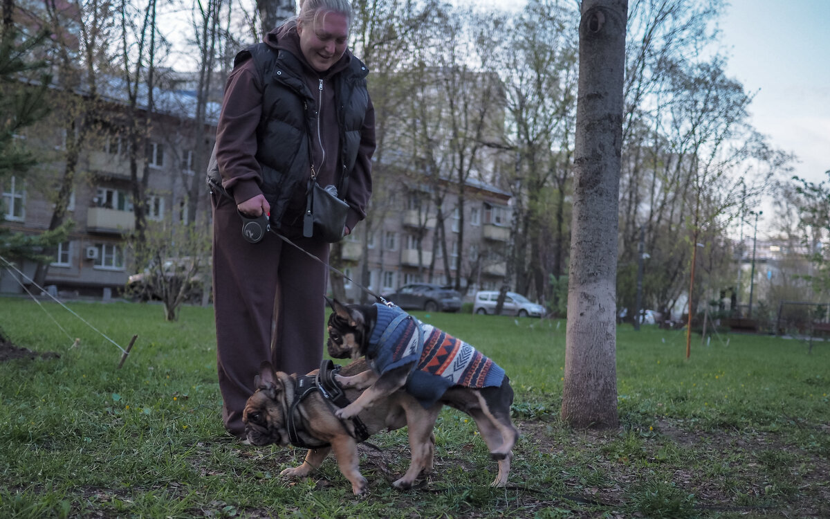 Собачьи Радости - юрий поляков Собачьи Радости - юрий поляков