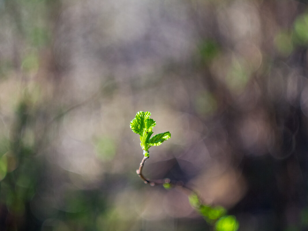 ___ - Yuriy V