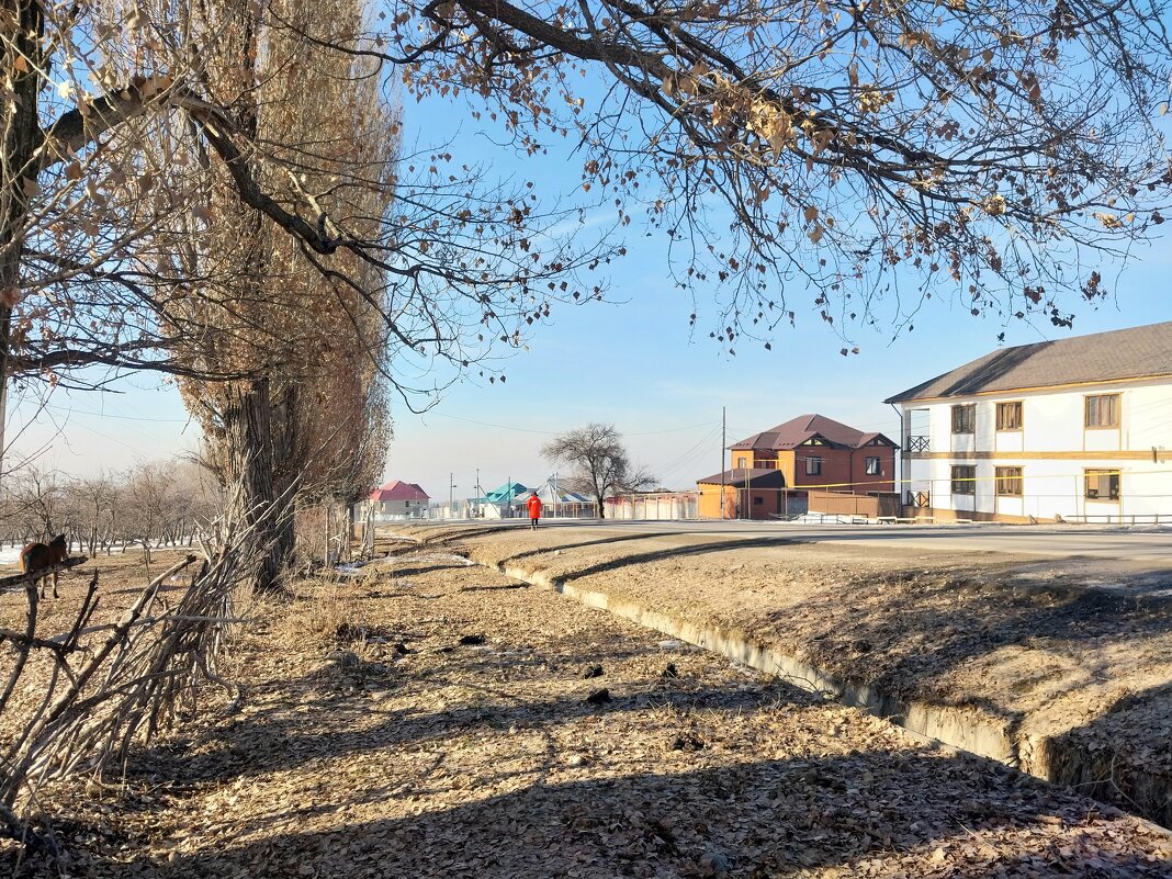 Bereke. . - Murat Bukaev 