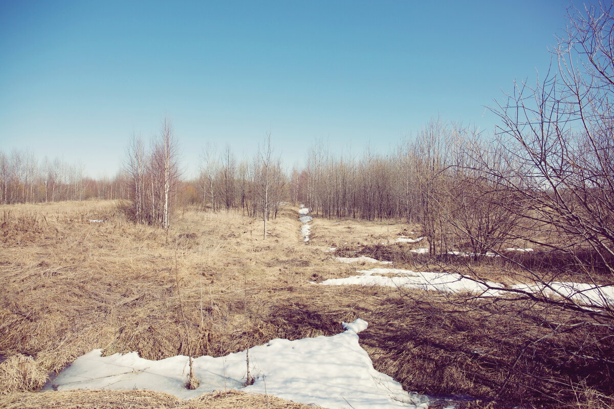 прочее - Денис Безногов