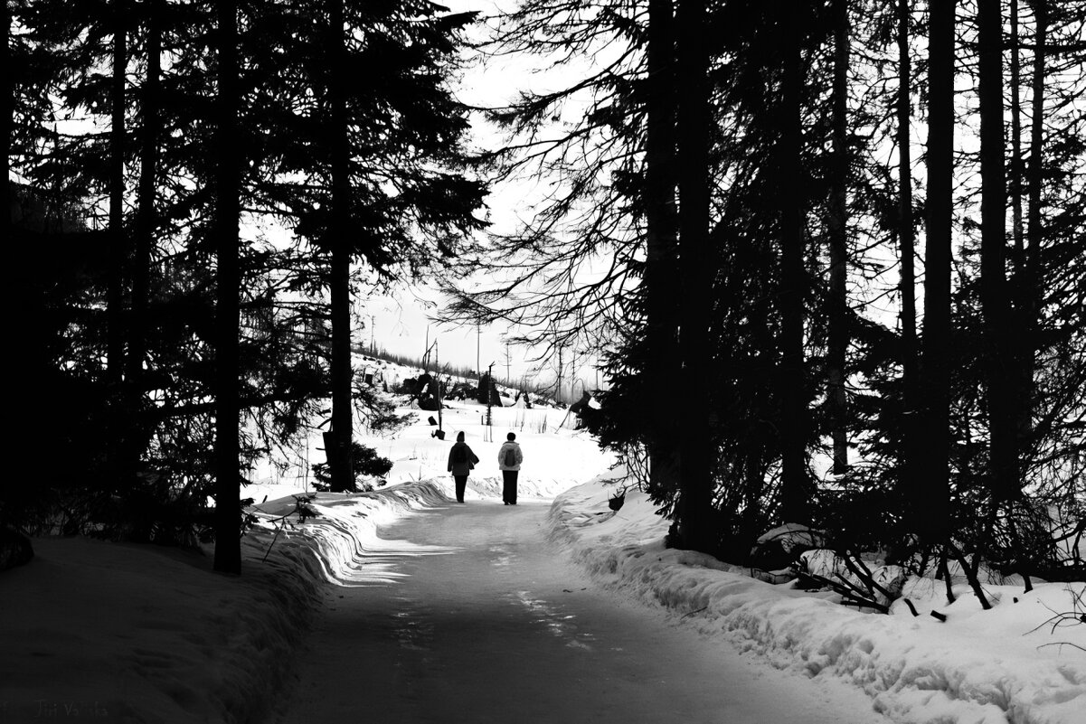 Zima - Jiří Valiska