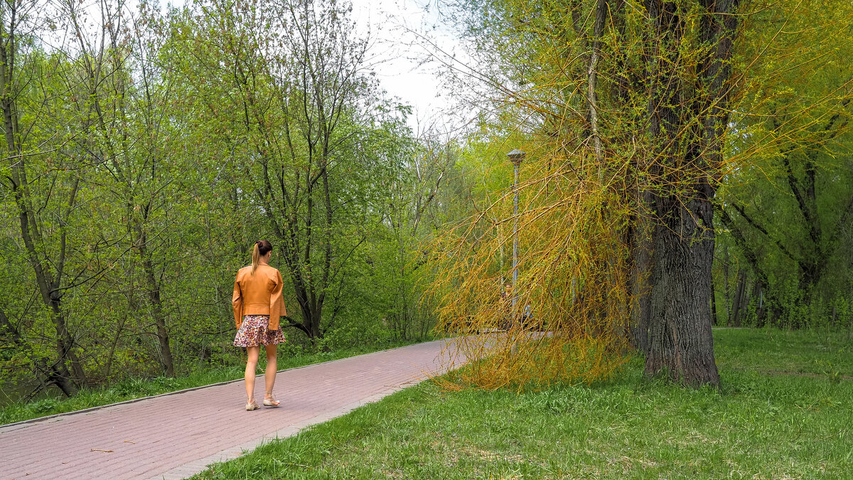 Прогулкив Весеннем Парке - юрий поляков Прогулкив Весеннем Парке - юрий поляков