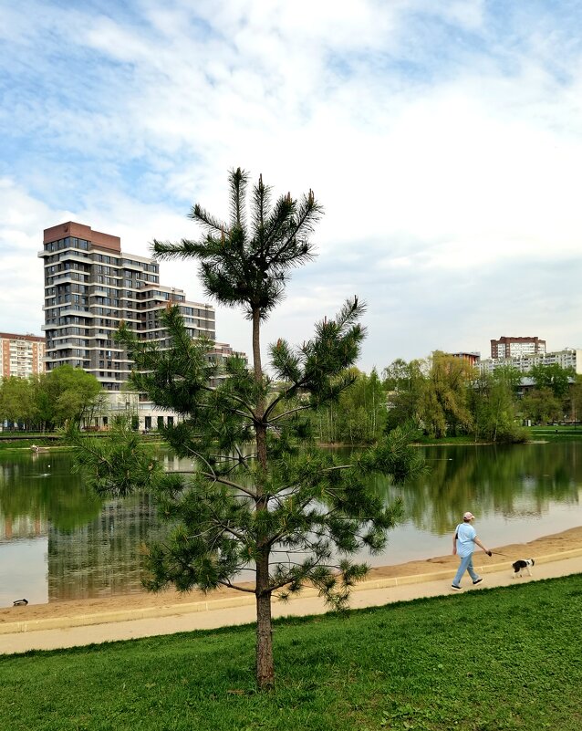 Город. - Любимова Ольга 
