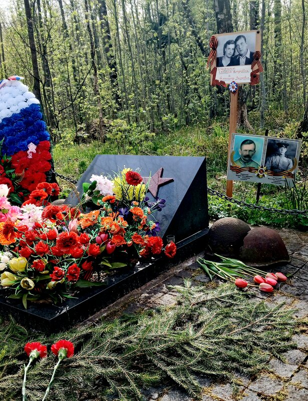 9 мая 2026 года. Синявино - Наталья Герасимова